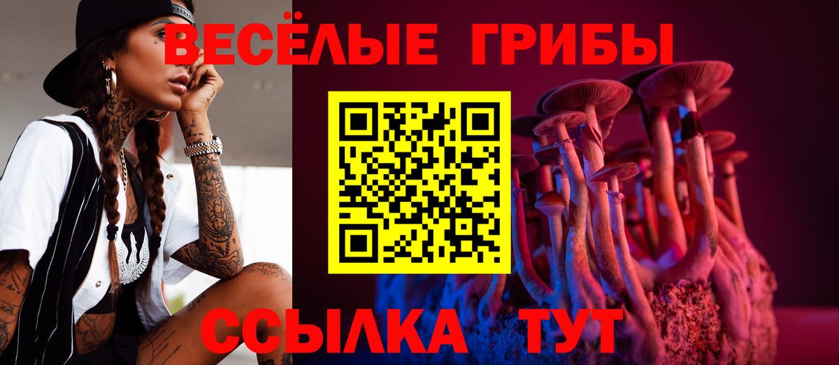 Александров  Галлюциногенные грибы мицелий  Псилоцибиновые грибы Magic Shrooms  Вход с VPN 