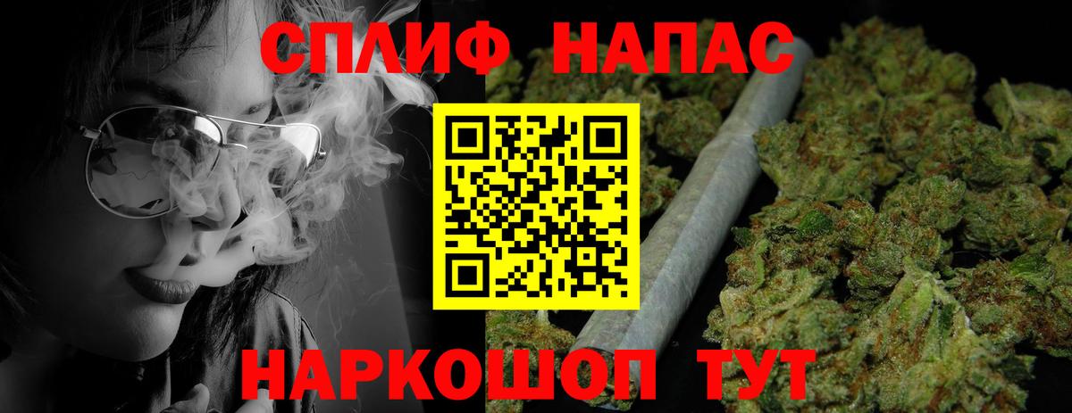 Каннабис планчик Александров